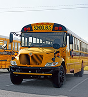Amerikanische Schulbusse (Foto)