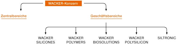Unternehmensstruktur von WACKER (Grafik)