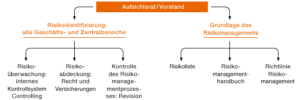 Risikomanagementsystem (Grafik)