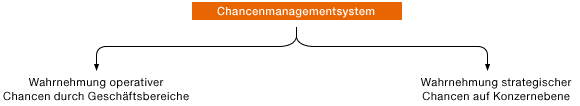 Chancenmanagementsystem (Grafik)